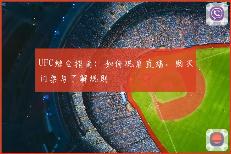 UFC综合指南：如何观看直播、购买门票与了解规则
