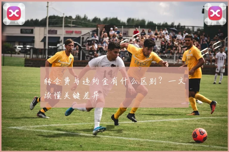转会费与违约金有什么区别？一文读懂关键差异