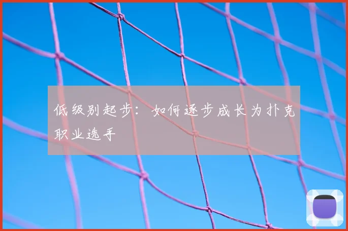 低级别起步：如何逐步成长为扑克职业选手